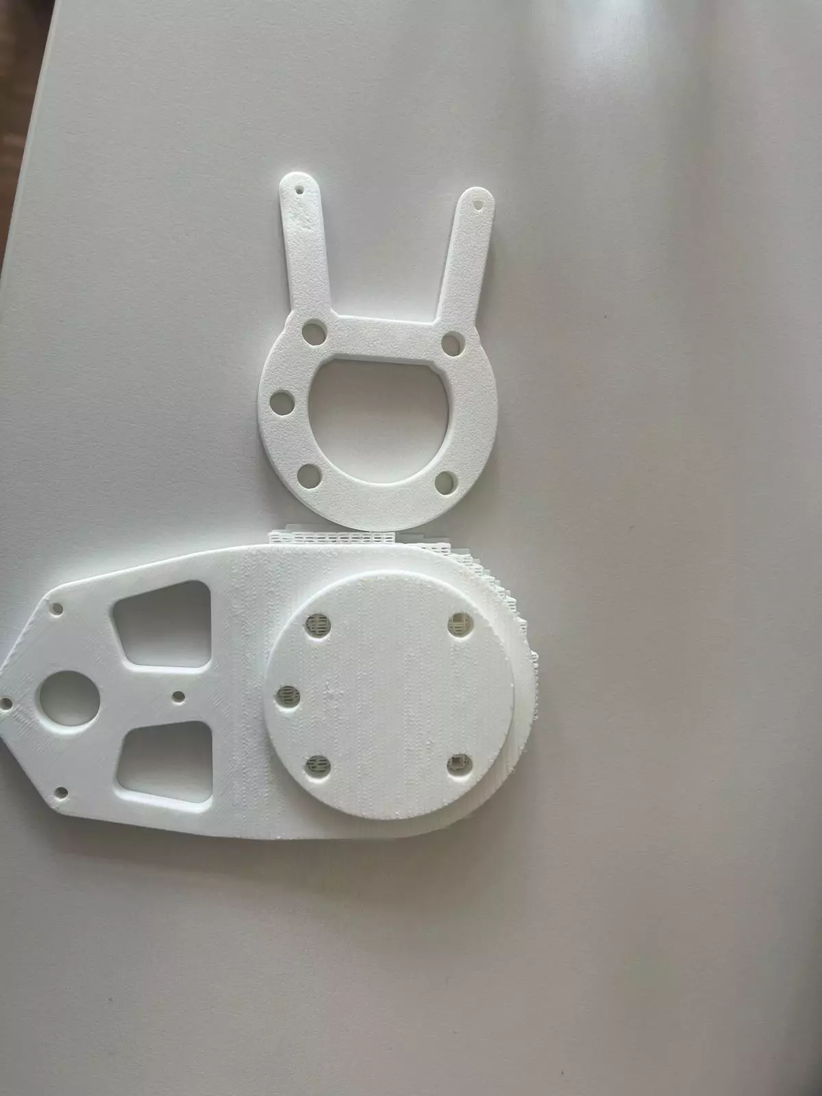 Two printed camera mounts. The big one won.